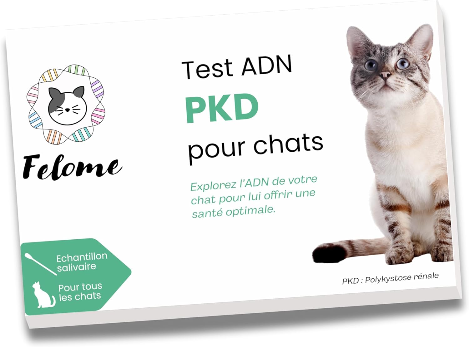 Felome – Test ADN PKD (polykystose rénale) pour chat
